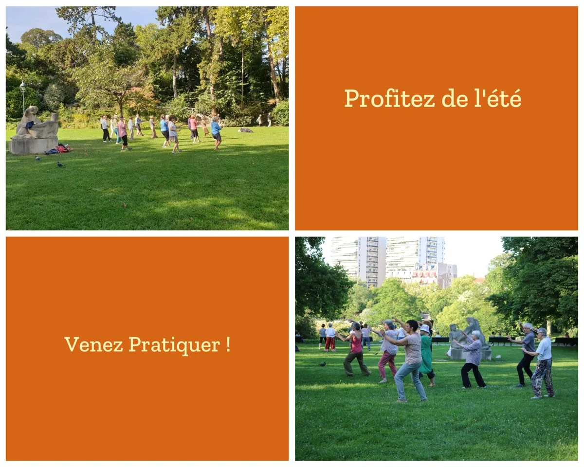 Profitez de l'été, venez pratiquer du Tai Chi, Qi Gong et Stretching Postural