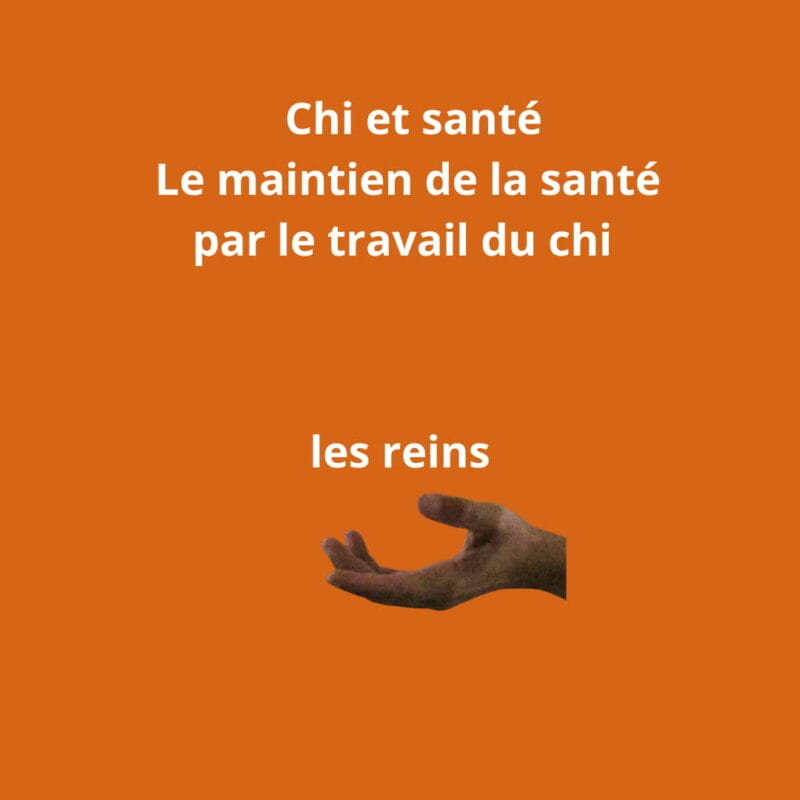 le maintien de la santé par le travail du chi. Thème les reins