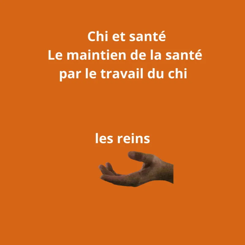 le maintien de la santé par le travail du chi. Thème les reins