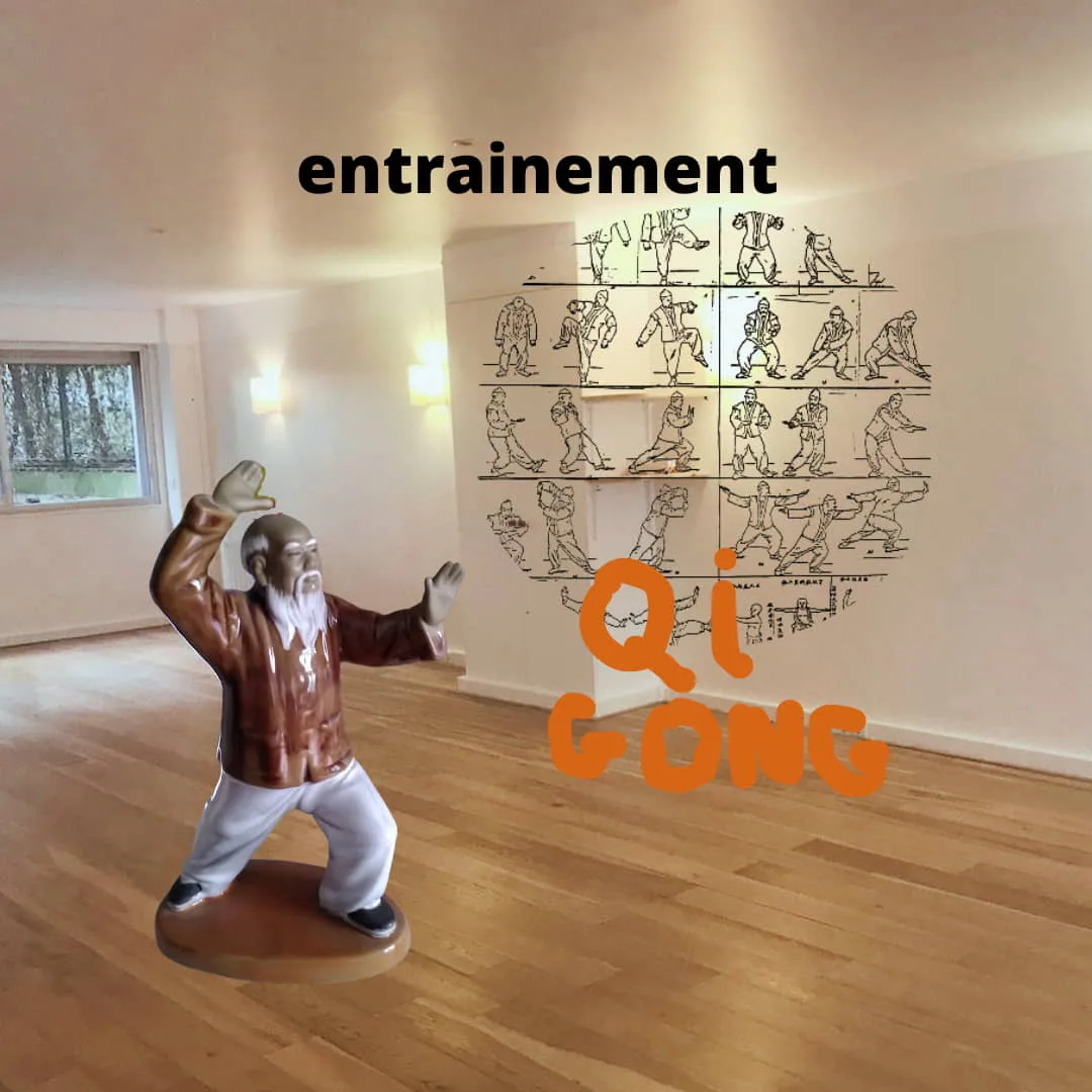 entrainement Qi Gong. Pratique des 11 exercices de santé, des 8 pièces de brocart et de la forme des 3 postures