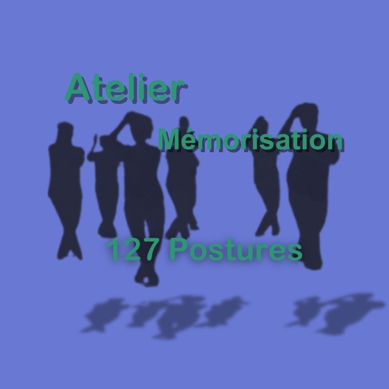 Atelier mémorisation 127 postures pour travailler la 1ère section et l'indispensable travail en miroir grâce au 13 postures