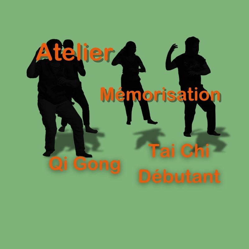 Atelier mémorisation de Qi Gong et de Tai Chi débutant. mémorisation des 11 exercices de santé et des 3 premières postures de la forme des 24 postures de Tai Chi.