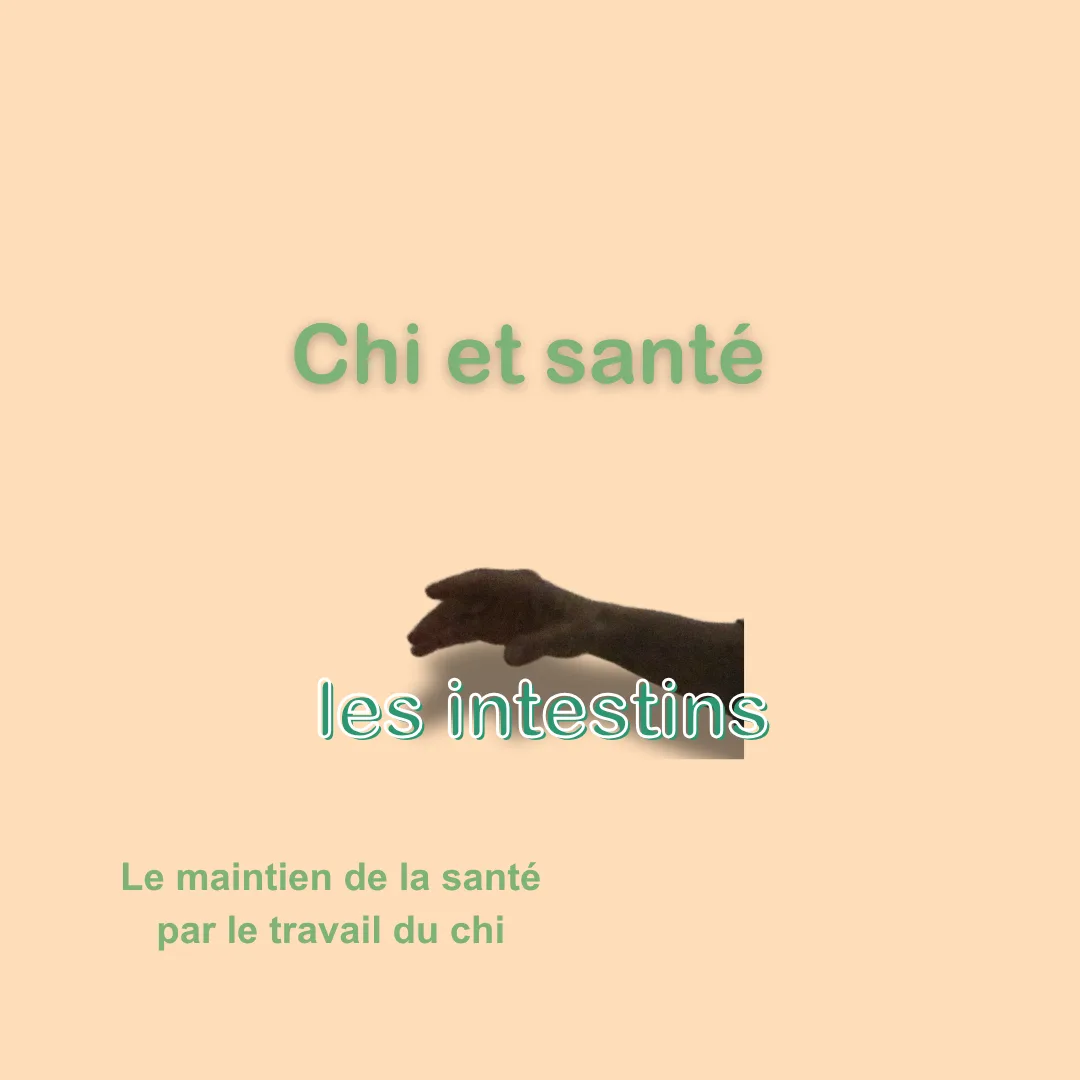 atelier pour tous, Chi et santé, prendre soin de ses intestins