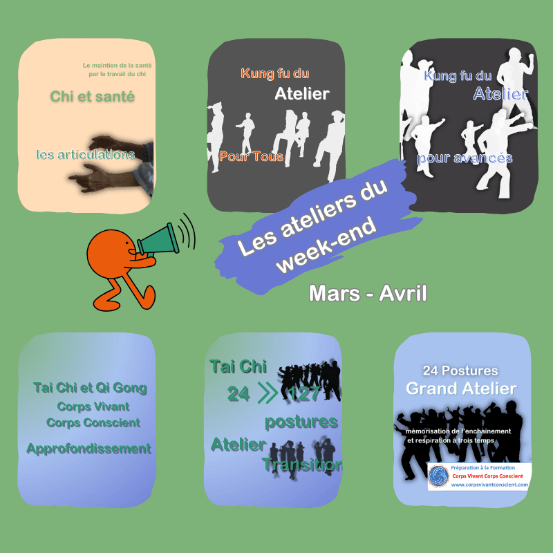 Chi et santé les articulations, Kung Fu Doux Tai chi 24 postures